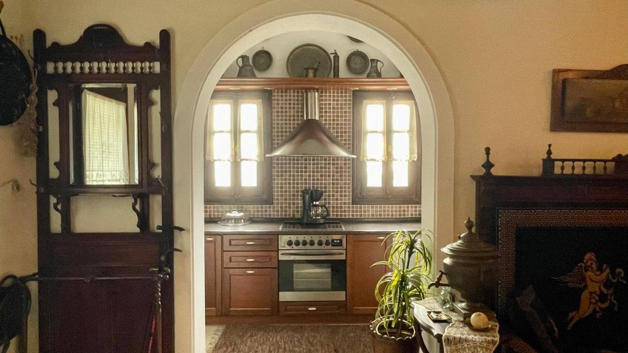 Iris Sea View Villa 아피소스 외부 사진